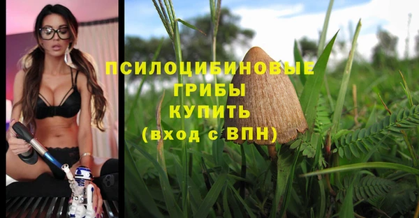 эйфоретик Семилуки