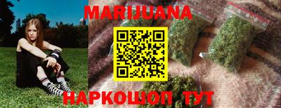 гашик Будённовск