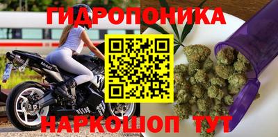 PSILOCYBIN Бугуруслан