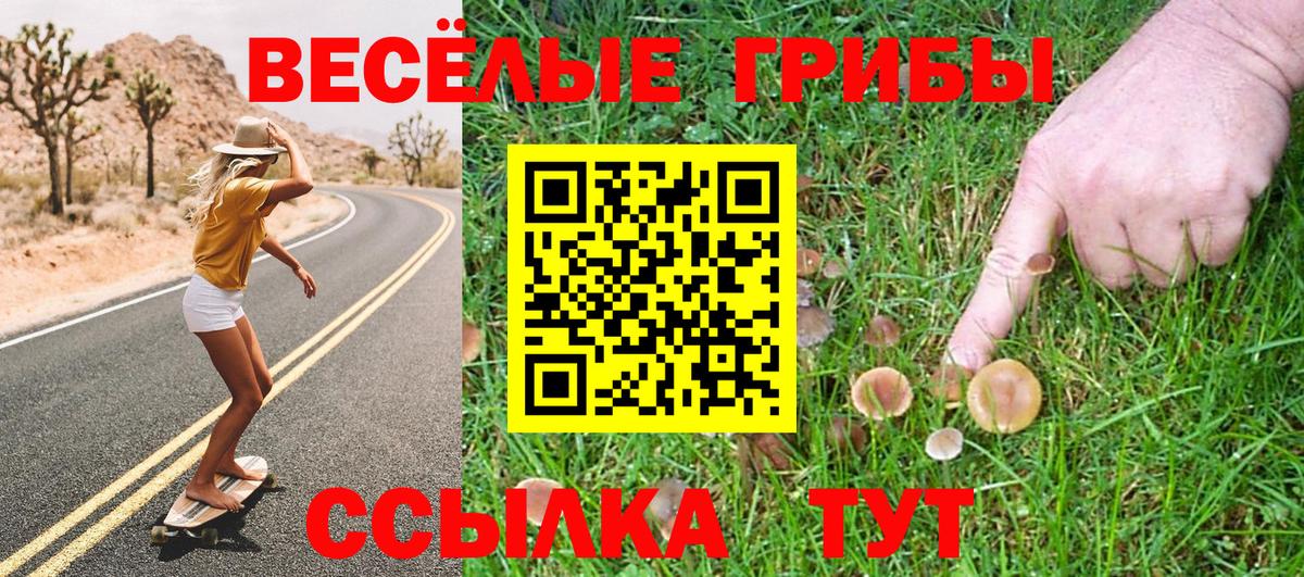 даркнет сайт  Галлюциногенные грибы GOLDEN TEACHER  Вход с VPN  Фрязино 