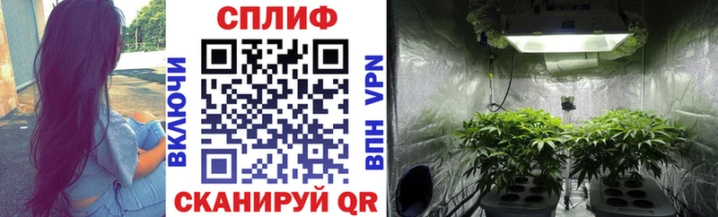 Каннабис THC 21%  Фрязино 